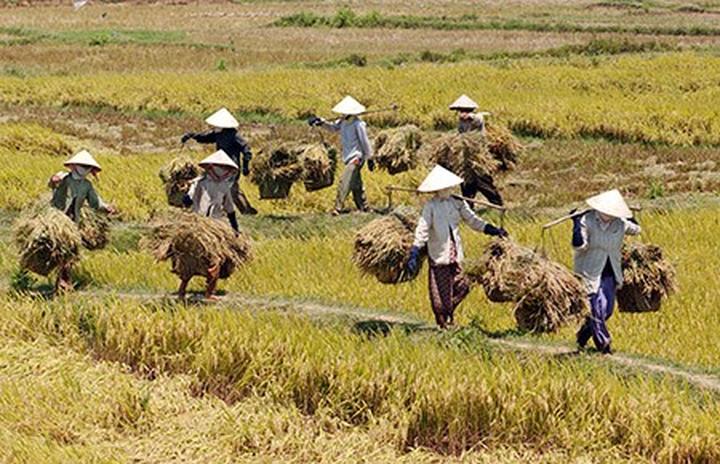 Hotspot Matrix: Biến Hà Siêu Liên và nét tướng thành cơ hội marketing đột phá