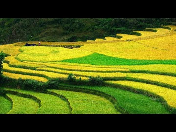 7 tạo hình mãn nhãn nhất của - Cảm hứng video marketing từ Hotspot Matrix