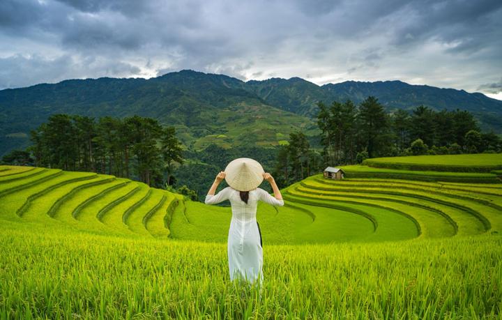 Từ 3 kiểu giày