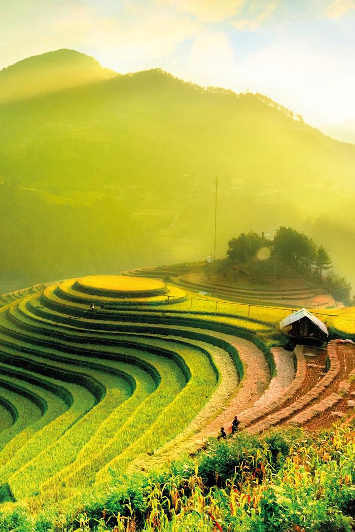 Từ Chiếc quần