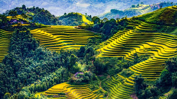 Hotspot Matrix: Cơ hội vàng cho người nội trợ hiện đại