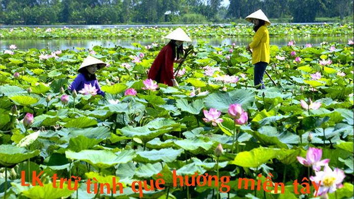 Từ Ông bà dặn:
